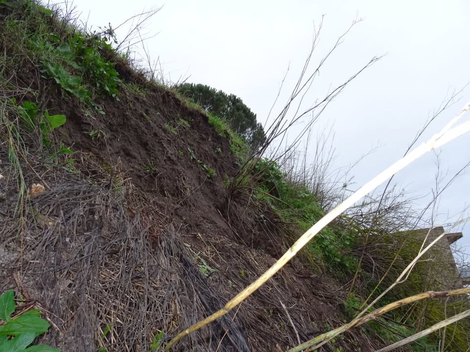 Emmo - Il primo giornale di Osilo