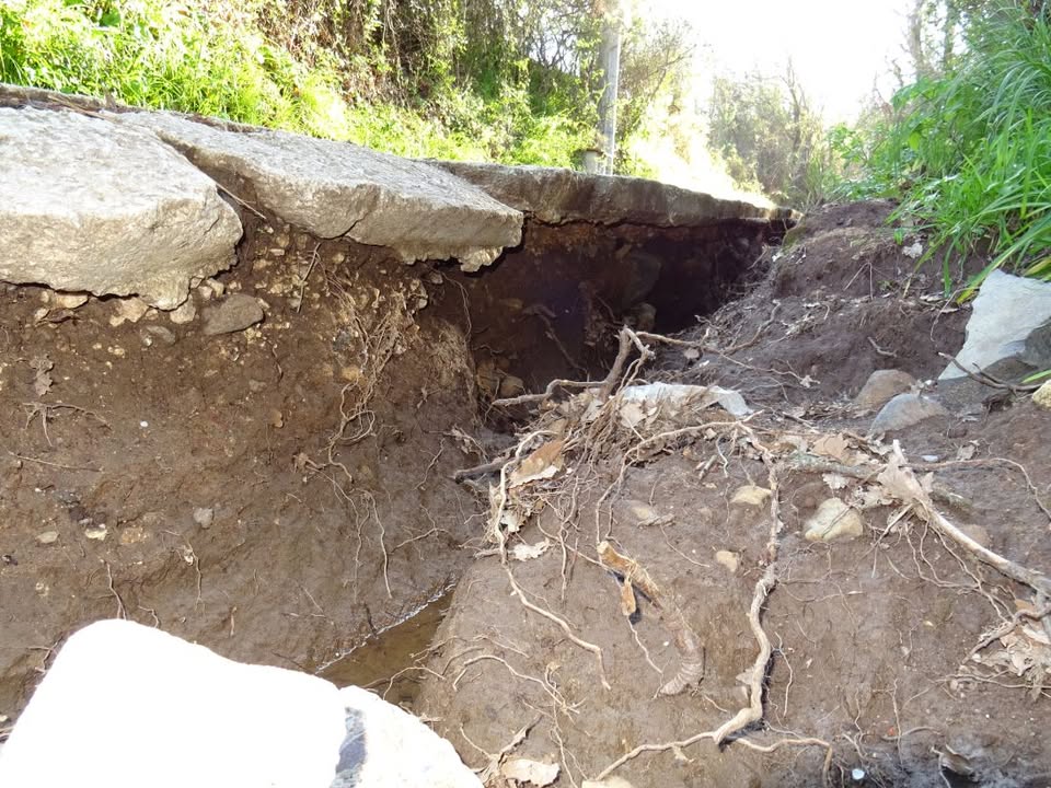 Emmo - Il primo giornale di Osilo